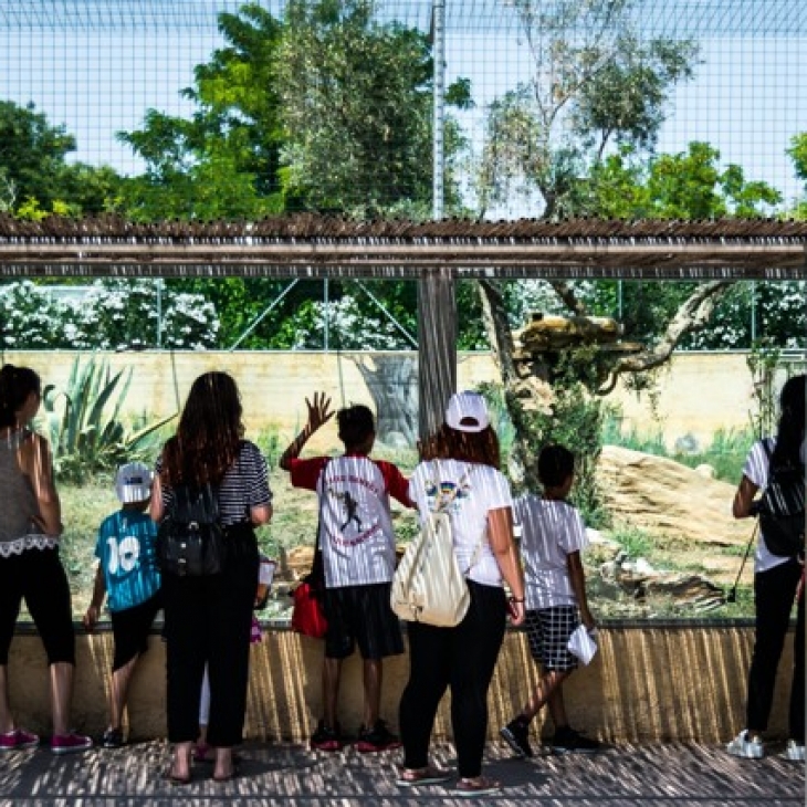 Το Αττικό Ζωολογικό Πάρκο υποδέχεται τα παιδιά της Φροντίδας