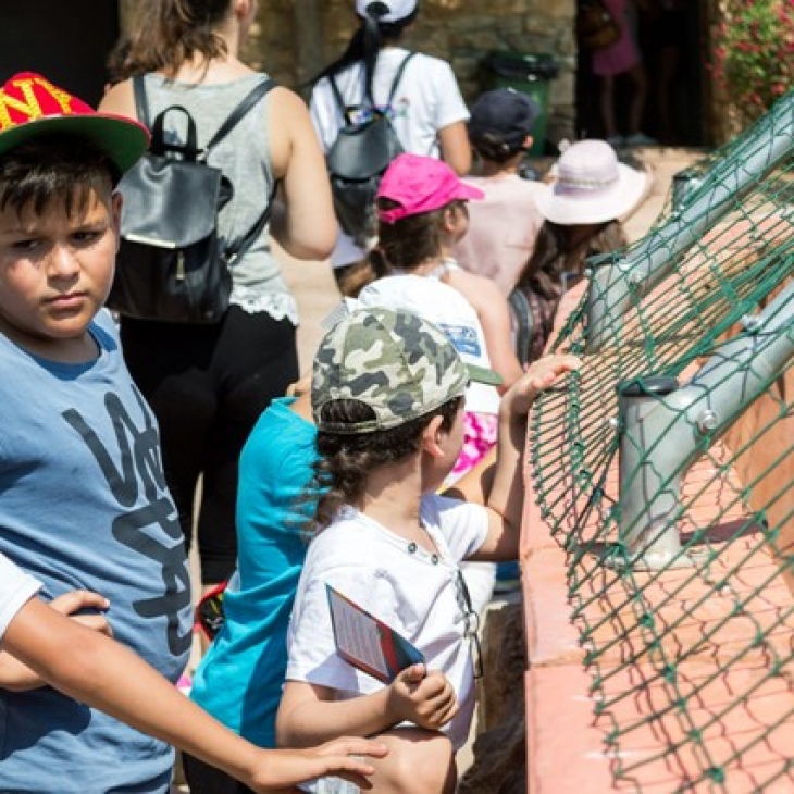 Το Αττικό Ζωολογικό Πάρκο υποδέχεται τα παιδιά της Φροντίδας