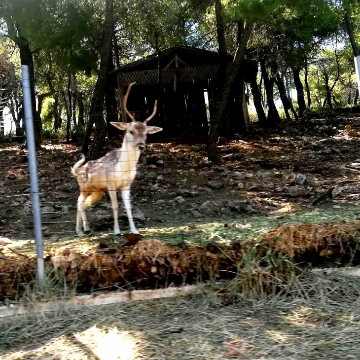 Τα παιδιά της Φροντίδας στο 