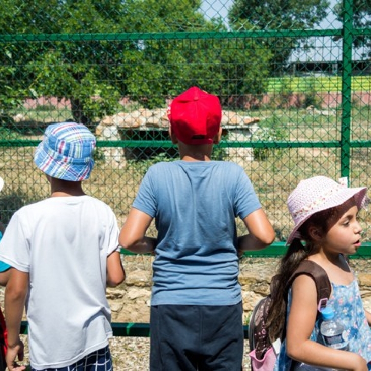 Το Αττικό Ζωολογικό Πάρκο υποδέχεται τα παιδιά της Φροντίδας