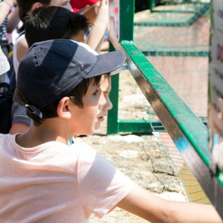 Το Αττικό Ζωολογικό Πάρκο υποδέχεται τα παιδιά της Φροντίδας